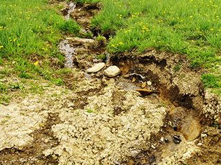 Erosion Control Services, Pasquo, TN